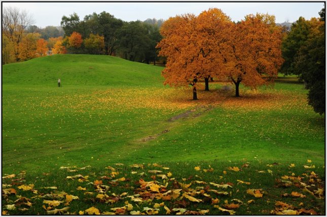 park