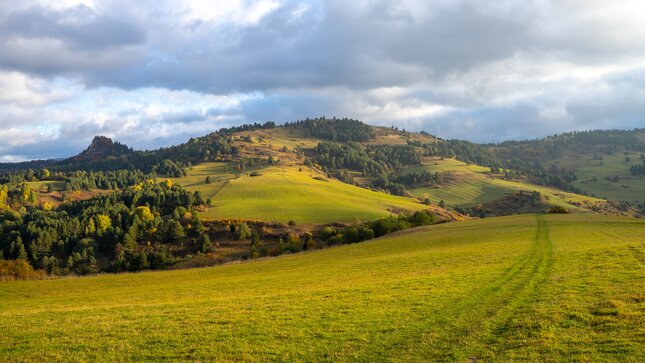 Ranné pieniny