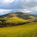 Ranné pieniny