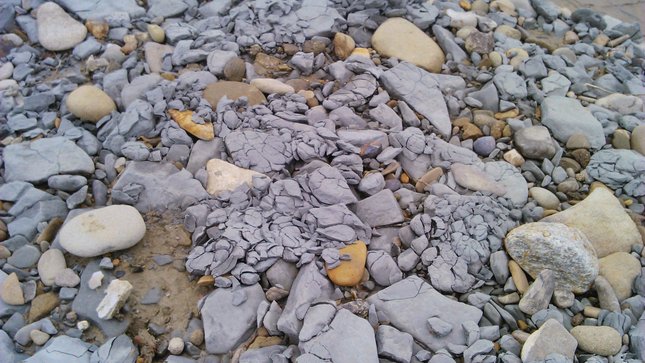 Roztrieštené po záplave