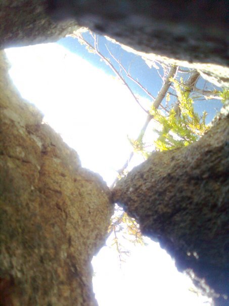 My point of view