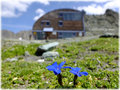 Stüdlhütte am Großglockner 2802 müA