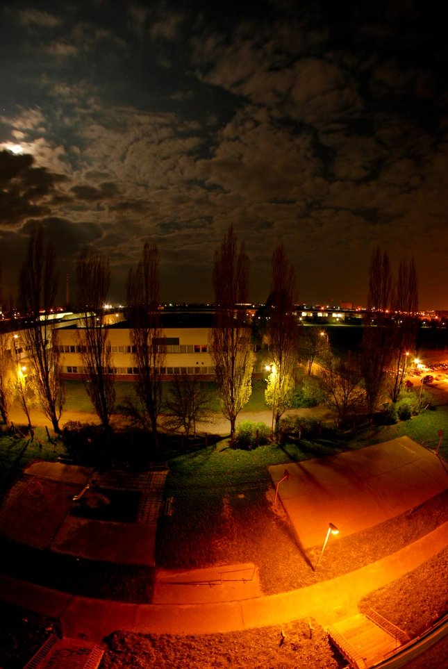 Z okna