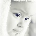 Hany