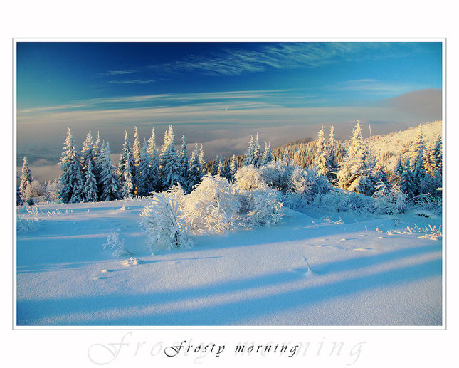 Frosty morning