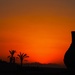 Západ slnka nad Saharou