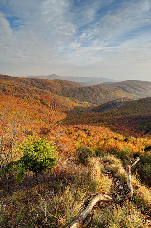 Do nekonečna a ešte ďalej