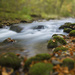 Jesenný potok