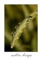 Water drops