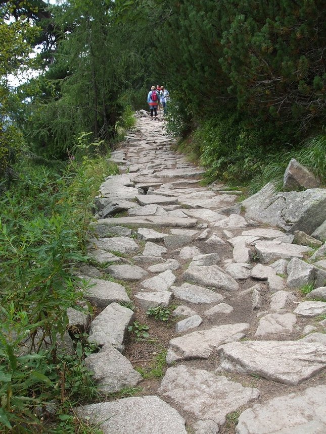 Skalnatá cesta