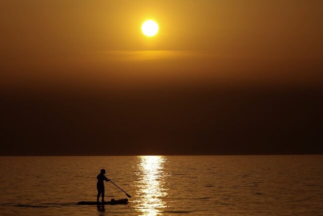 paddlebordista