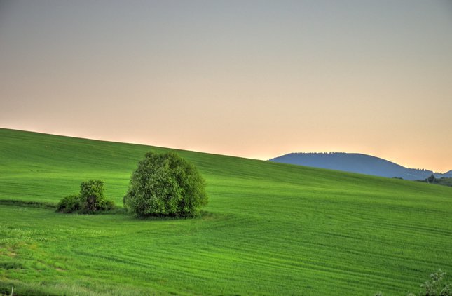 Osamelý ker