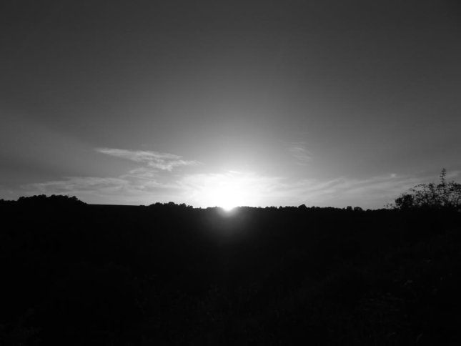 Čiernobiely horizont