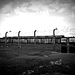 Koncentračné tábory - Arbeit macht frei