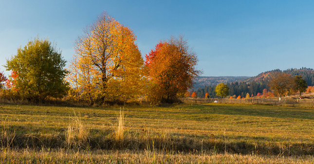 Podpolianske zafarbenie