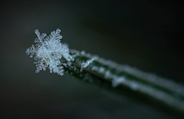 snowflake