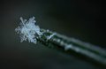 snowflake