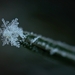 snowflake