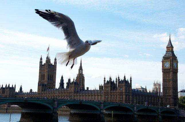 ..(ú)let demokracie..