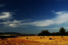 Podvečer