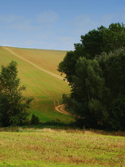 Cesta