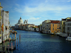 Venezia