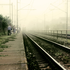 ...10.07.7.15...