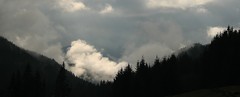 Podvečerné hmly