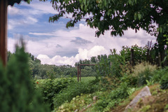 Nitrianska Streda -> Solčany