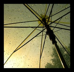 sweet rain