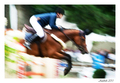 GRAND PRIX CSIO panning 2