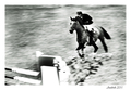 GRAND PRIX CSIO panning 4