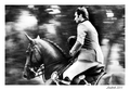 GRAND PRIX CSIO panning 3