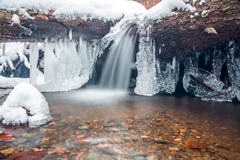 Na schladenie (Zima V)