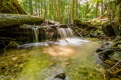 Malo Karpatská riava I