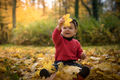 Autumn in Pezinok