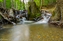 Malo Karpatská riava II