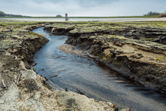 Blato a voda - vo farbe