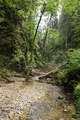 Prales 2