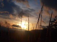 sunset