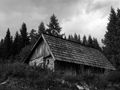 _9126367