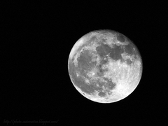 luna