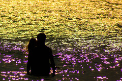 Dreams