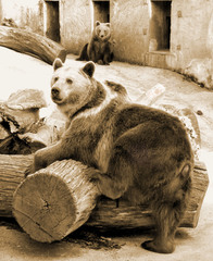 model