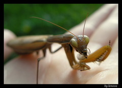 Bez strachu a s chuťou