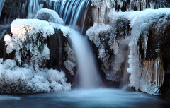 Ice Age
