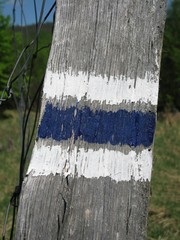 modrá