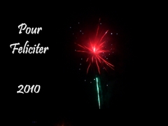 Pour Feliciter 2010