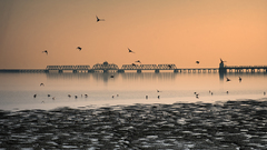 San Francisco Bay