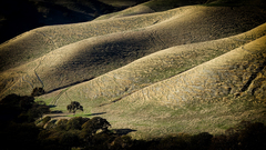 Del Valle Regional Park